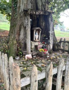 La Madonna del Castagnar