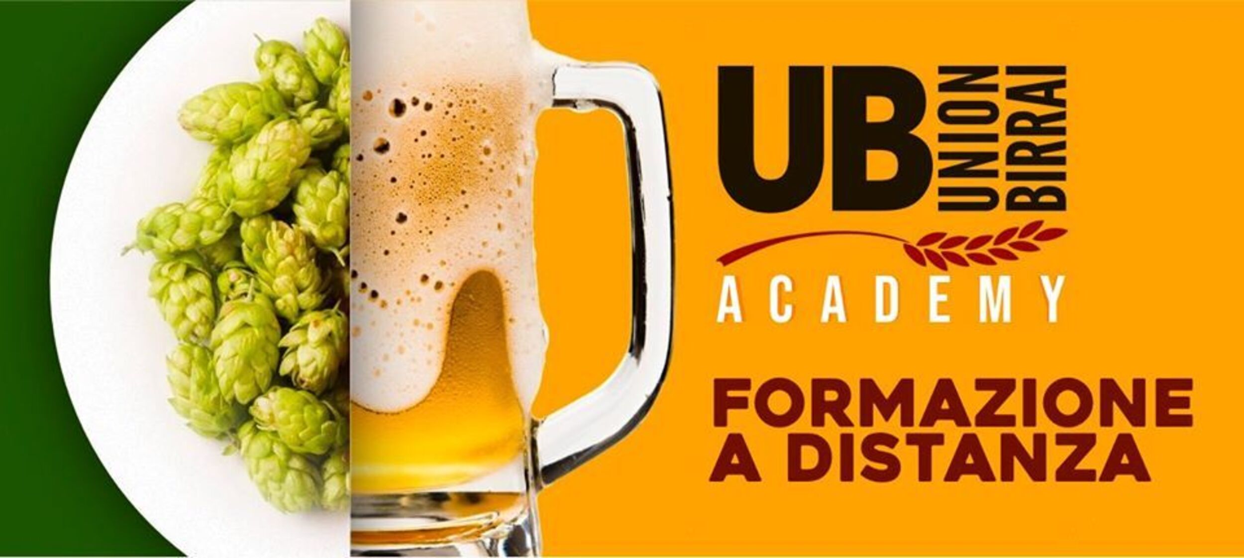 UB Academy