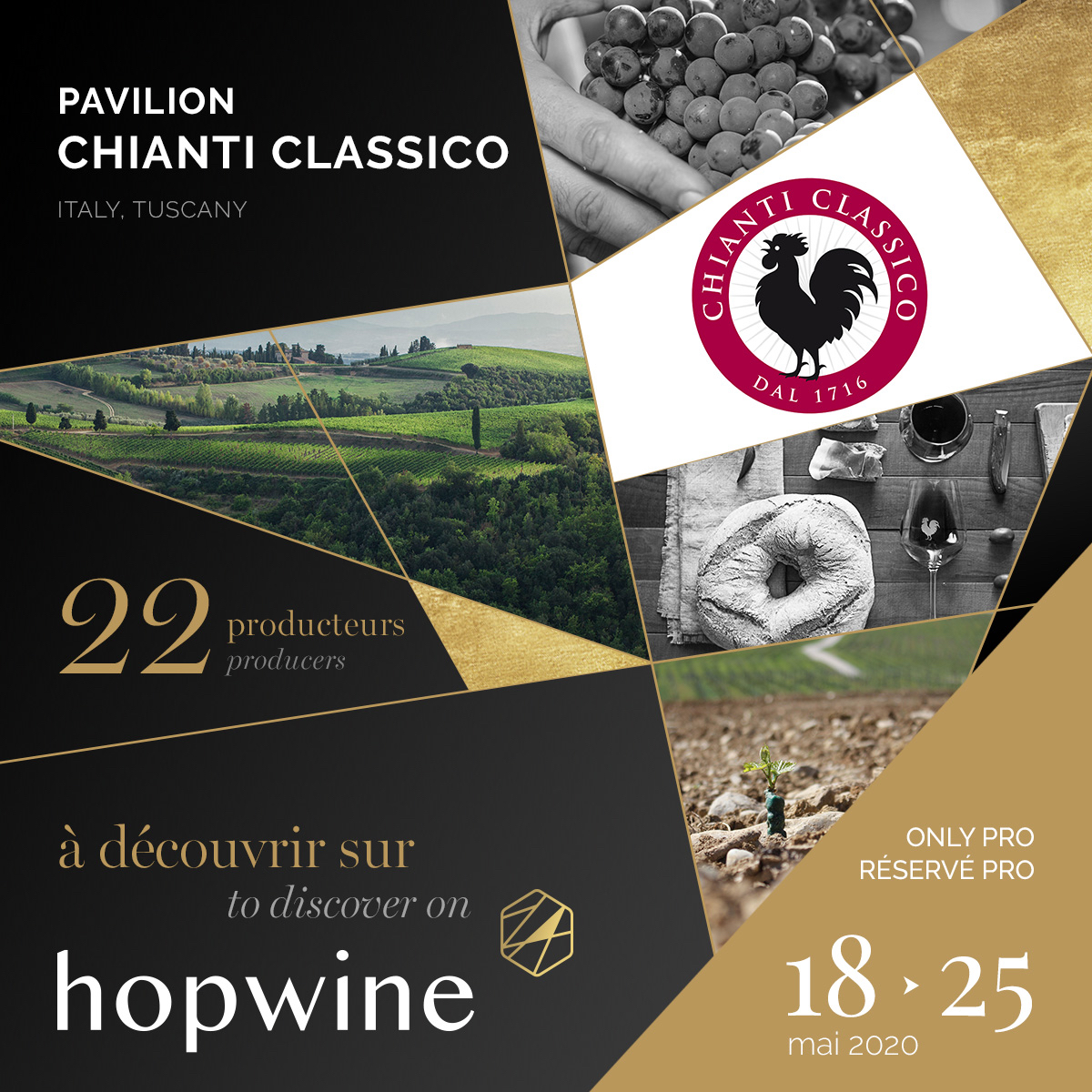 Hopwine – Chianti Classico – 18_25 May