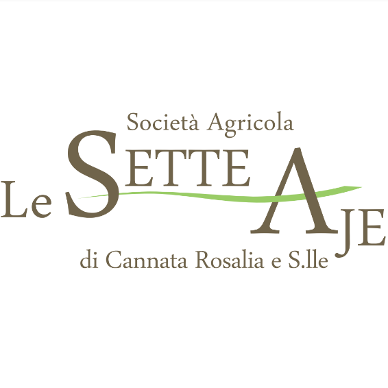 logo-sette-aje1.png